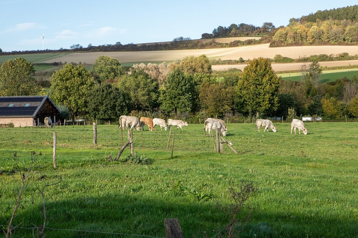 Veehouderij Akkerhof