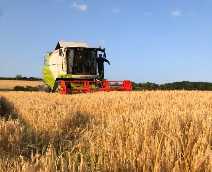 Granen teelt door Akkerhof